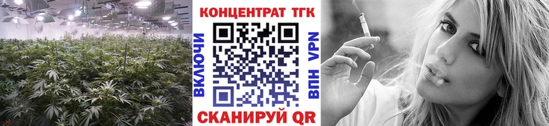 Дистиллят ТГК THC oil Губаха