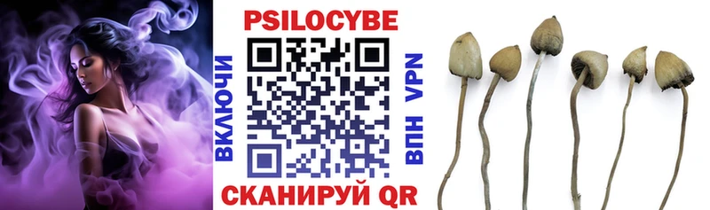 Галлюциногенные грибы Magic Shrooms  как найти наркотики  Губаха 