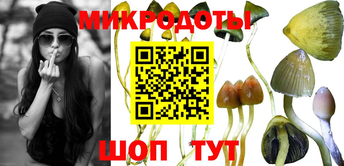 Галлюциногенные грибы Psilocybe  Вход с VPN  Губаха  Галлюциногенные грибы Magic Shrooms 