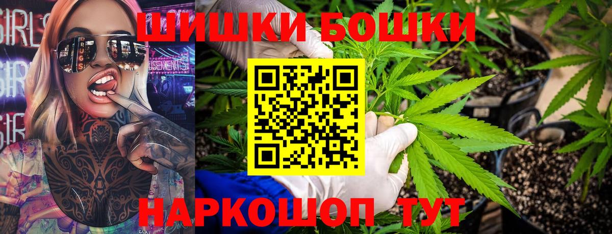Каннабис сатива Губаха
